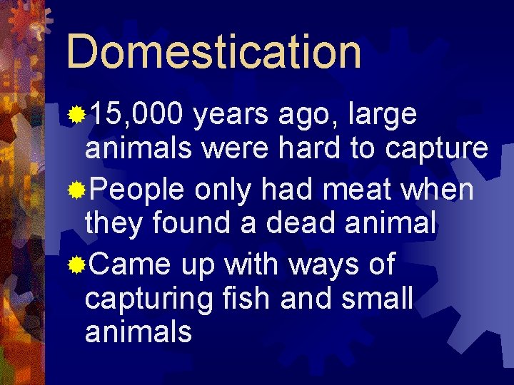 Domestication ® 15, 000 years ago, large animals were hard to capture ®People only