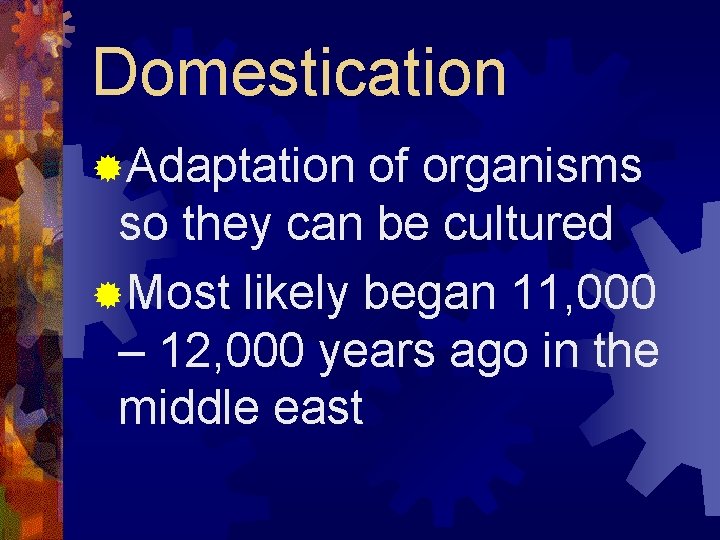 Domestication ®Adaptation of organisms so they can be cultured ®Most likely began 11, 000