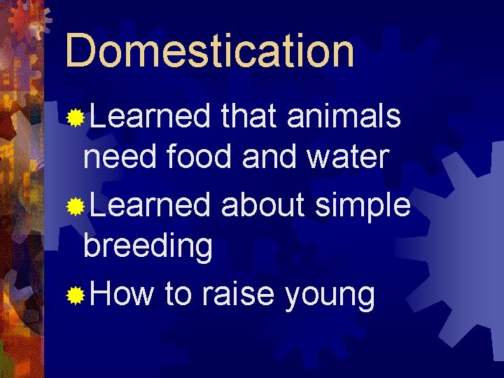 Domestication ®Learned that animals need food and water ®Learned about simple breeding ®How to