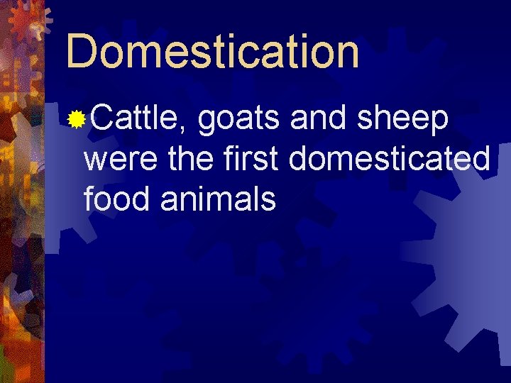 Domestication ®Cattle, goats and sheep were the first domesticated food animals 