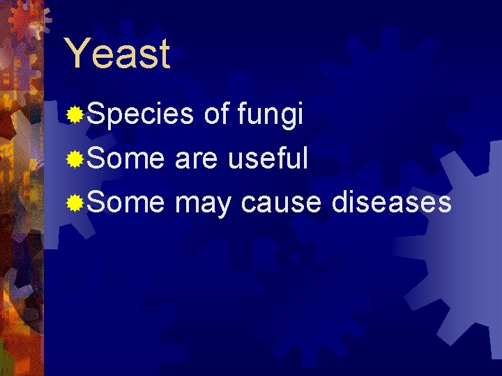 Yeast ®Species of fungi ®Some are useful ®Some may cause diseases 