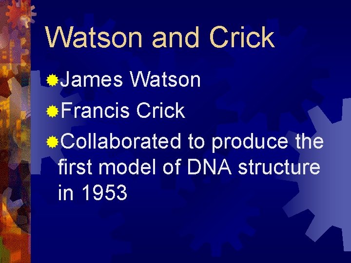 Watson and Crick ®James Watson ®Francis Crick ®Collaborated to produce the first model of
