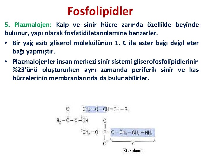Fosfolipidler 5. Plazmalojen: Kalp ve sinir hücre zarında özellikle beyinde bulunur, yapı olarak fosfatidiletanolamine