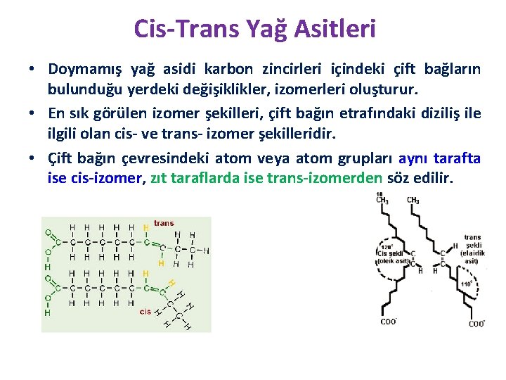 Cis-Trans Yağ Asitleri • Doymamış yağ asidi karbon zincirleri içindeki çift bağların bulunduğu yerdeki