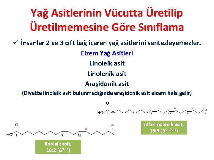 Yağ Asitlerinin Vücutta Üretilip Üretilmemesine Göre Sınıflama ü İnsanlar 2 ve 3 çift bağ