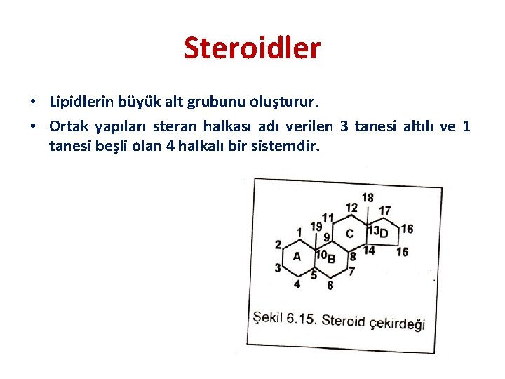 Steroidler • Lipidlerin büyük alt grubunu oluşturur. • Ortak yapıları steran halkası adı verilen