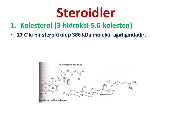 Steroidler 1. Kolesterol (3 -hidroksi-5, 6 -kolesten) • 27 C’lu bir steroid olup 386
