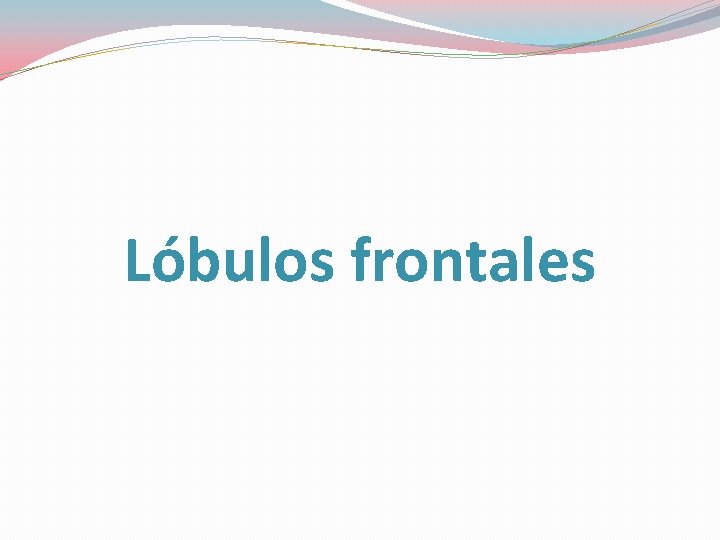 Lóbulos frontales 