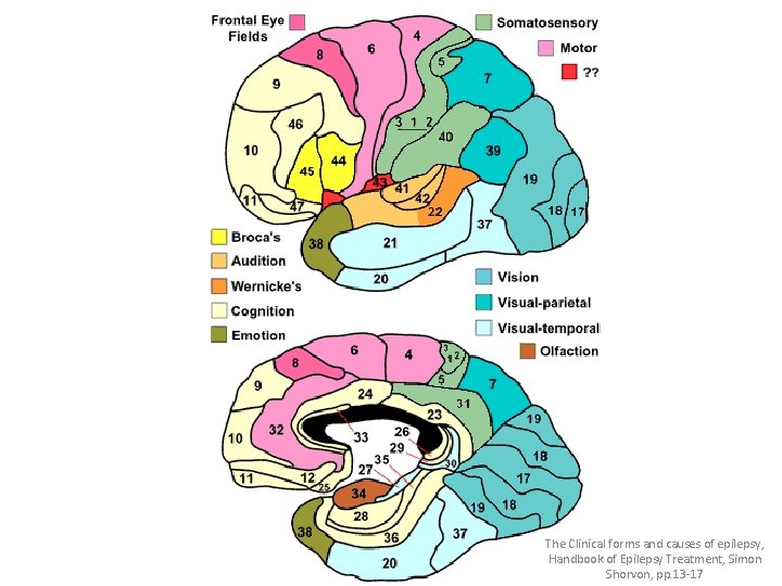 The Clinical forms and causes of epilepsy, Handbook of Epilepsy Treatment, Simon Shorvon, pp.