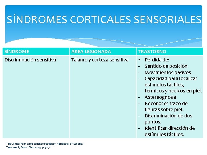 SÍNDROMES CORTICALES SENSORIALES SÍNDROME ÁREA LESIONADA TRASTORNO Discriminación sensitiva Tálamo y corteza sensitiva •