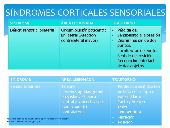 SÍNDROMES CORTICALES SENSORIALES SÍNDROME ÁREA LESIONADA TRASTORNO Déficit sensorial bilateral Circunvolución poscentral unilateral (Afección