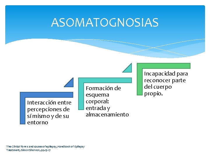 ASOMATOGNOSIAS Interacción entre percepciones de sí mismo y de su entorno The Clinical forms