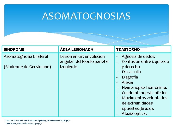 ASOMATOGNOSIAS SÍNDROME ÁREA LESIONADA TRASTORNO Asomatognosia bilateral Lesión en circunvolución angular del lóbulo parietal