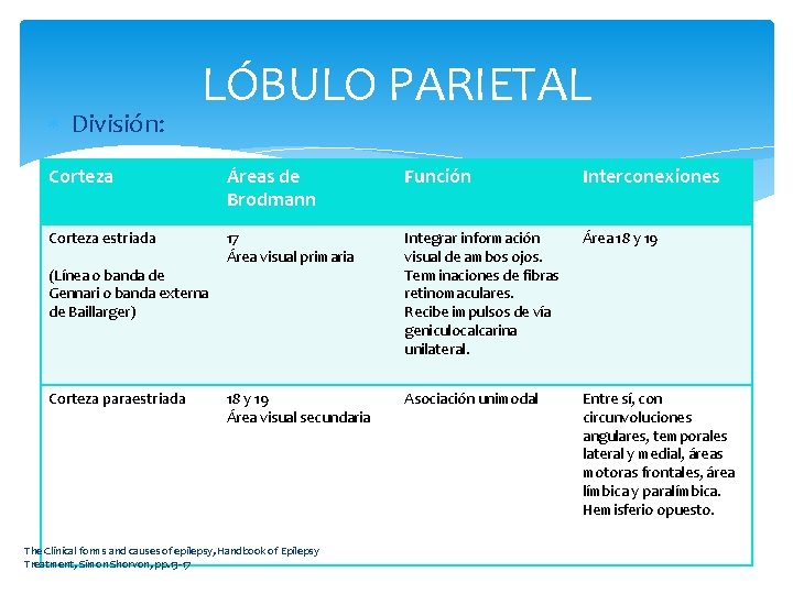  División: LÓBULO PARIETAL Corteza Áreas de Brodmann Función Interconexiones Corteza estriada 17 Área