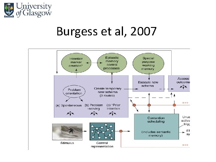 Burgess et al, 2007 