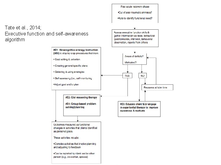 Tate et al. , 2014; Executive function and self-awareness algorithm 