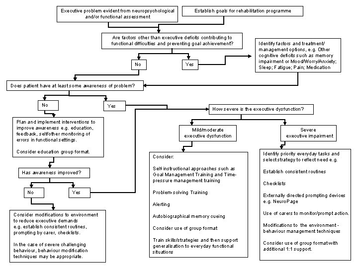 Executive problem evident from neuropsychological and/or functional assessment Establish goals for rehabilitation programme Are