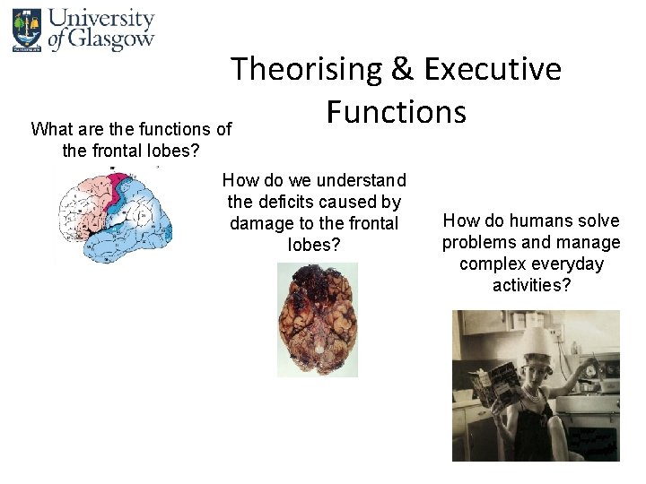 Theorising & Executive Functions What are the functions of the frontal lobes? How do