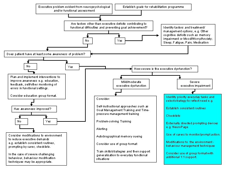 Executive problem evident from neuropsychological and/or functional assessment Establish goals for rehabilitation programme Are