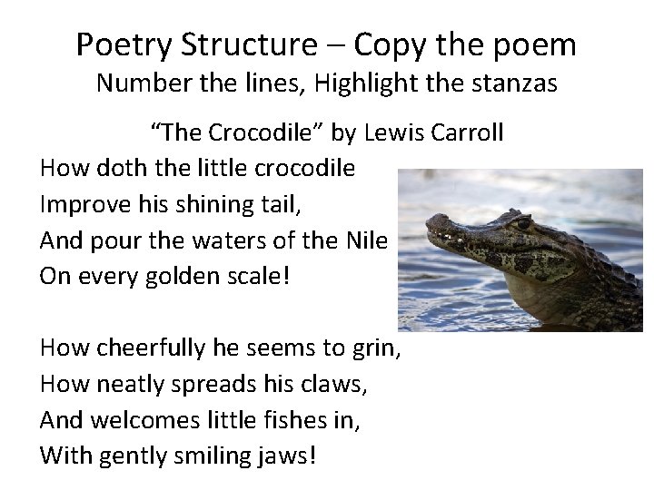 Poetry Structure – Copy the poem Number the lines, Highlight the stanzas “The Crocodile”