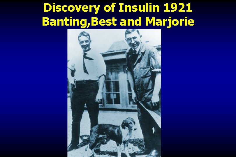 Discovery of Insulin 1921 Banting, Best and Marjorie l 