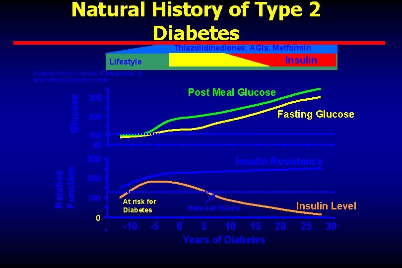 Natural History of Type 2 Diabetes Thiazolidinediones, AGIs, Metformin Insulin SFU, Meglitinides Lifestyle Glucose