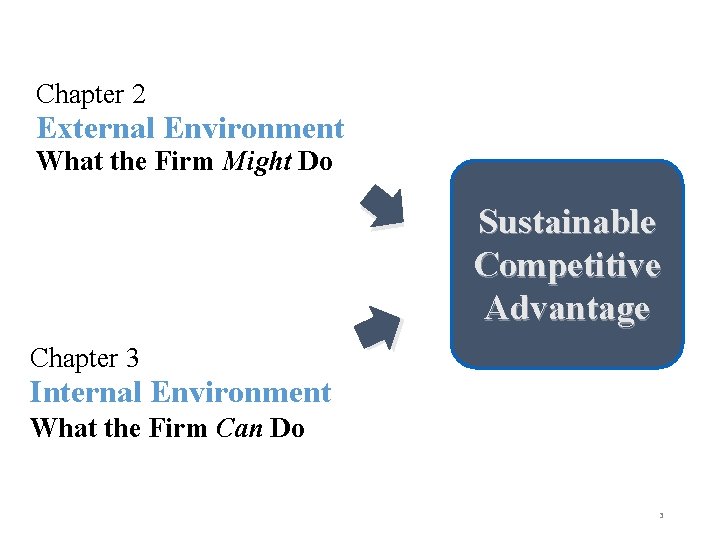 Chapter 2 External Environment What the Firm Might Do Sustainable Competitive Advantage Chapter 3