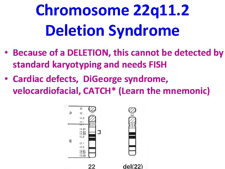 Chromosome 22 q 11. 2 Deletion Syndrome • Because of a DELETION, this cannot