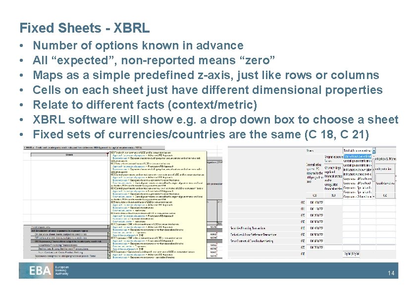 Fixed Sheets - XBRL • • Number of options known in advance All “expected”,