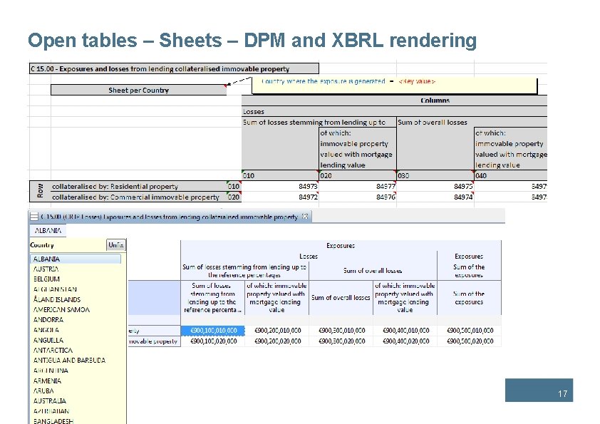 Open tables – Sheets – DPM and XBRL rendering 17 