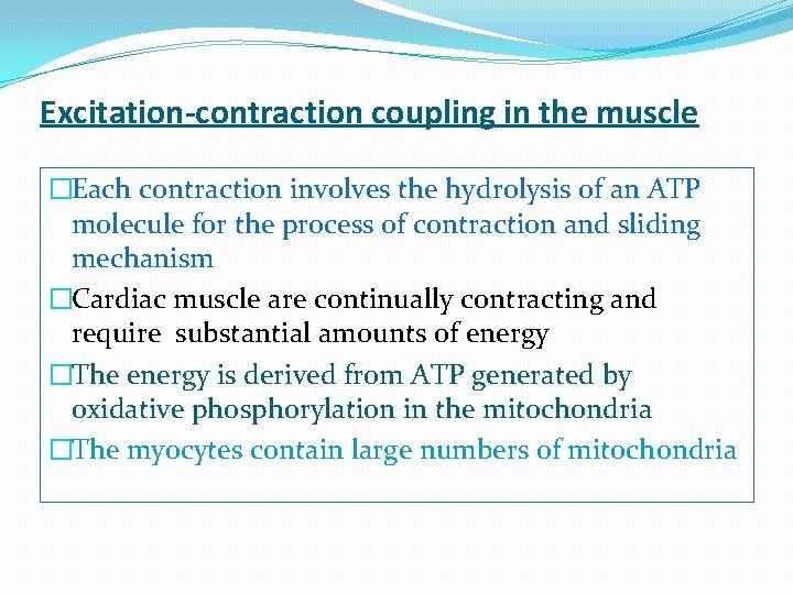 Excitation-contraction coupling in the muscle �Each contraction involves the hydrolysis of an ATP molecule