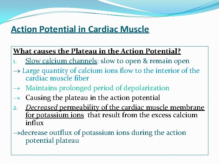 Action Potential in Cardiac Muscle What causes the Plateau in the Action Potential? 1.