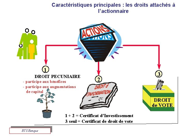 Caractéristiques principales : les droits attachés à l’actionnaire 1 DROIT PECUNIAIRE - participe aux