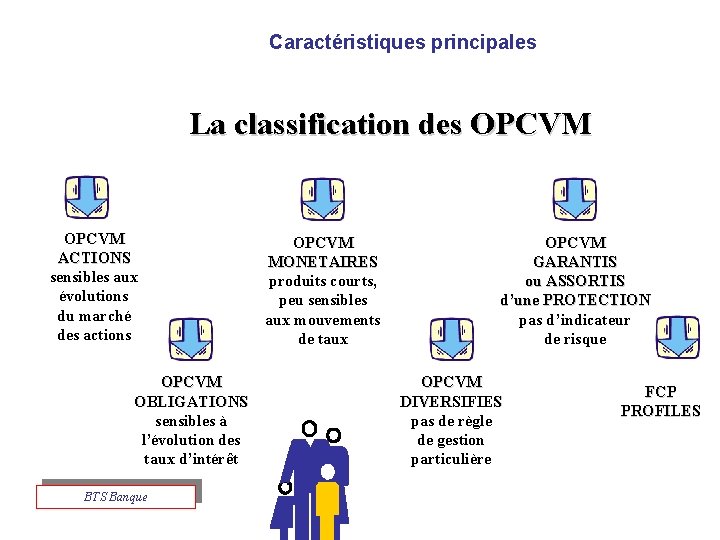 Caractéristiques principales La classification des OPCVM ACTIONS sensibles aux évolutions du marché des actions