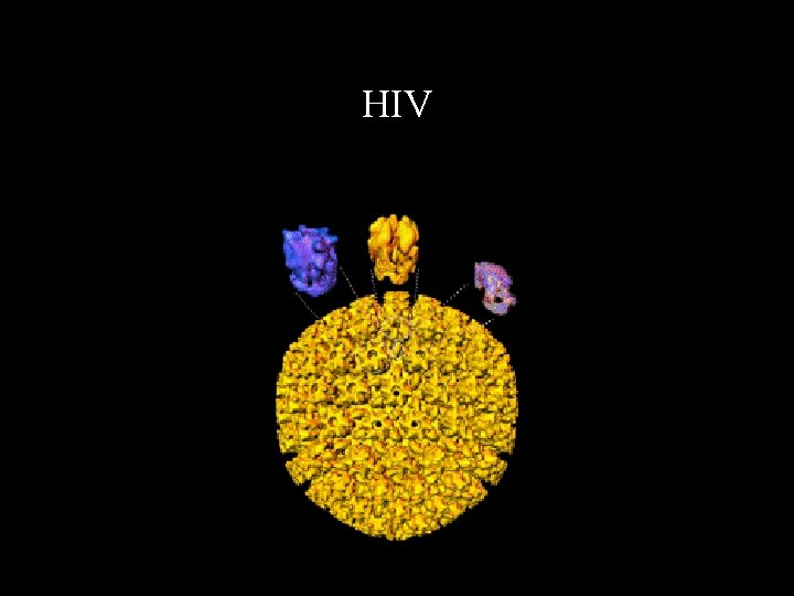 HIV 