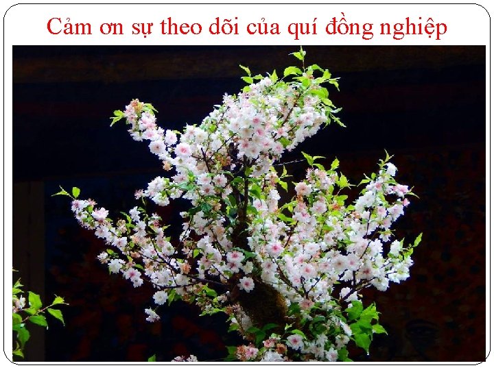 Cảm ơn sự theo dõi của quí đồng nghiệp 