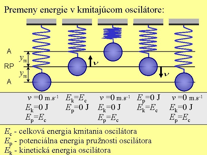 Premeny energie v kmitajúcom oscilátore: A RP A v =0 m. s-1 Ek=Ec Ek=0