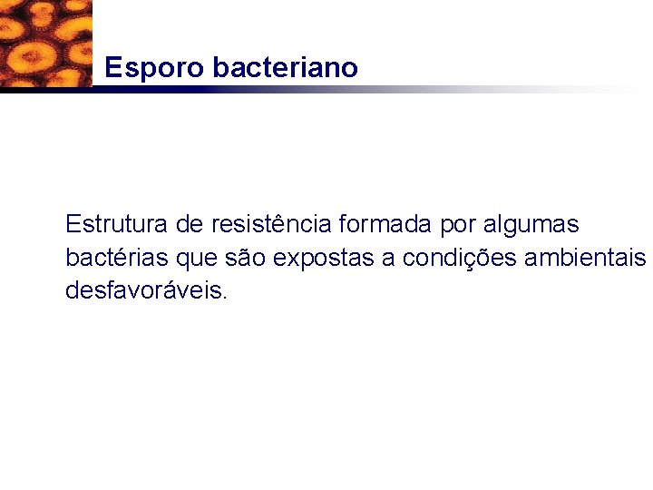 Esporo bacteriano Estrutura de resistência formada por algumas bactérias que são expostas a condições