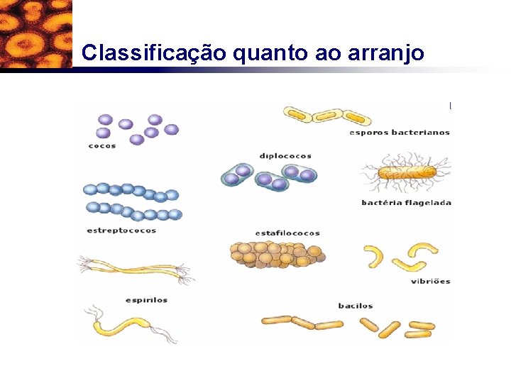 Classificação quanto ao arranjo 
