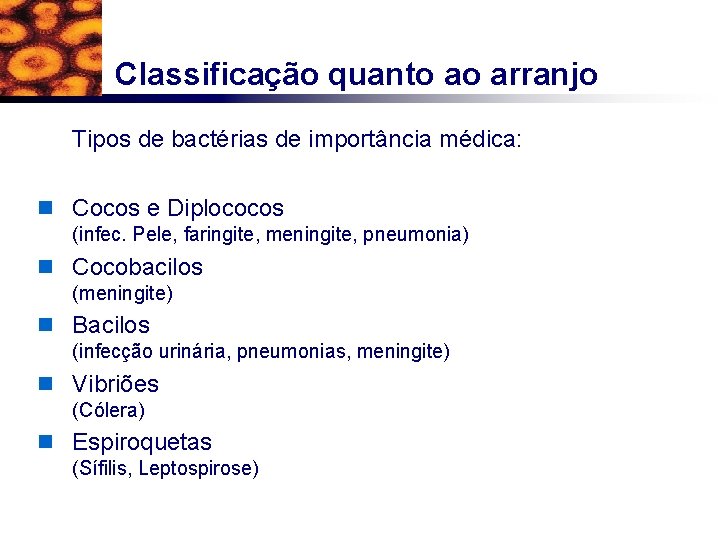 Classificação quanto ao arranjo Tipos de bactérias de importância médica: n Cocos e Diplococos