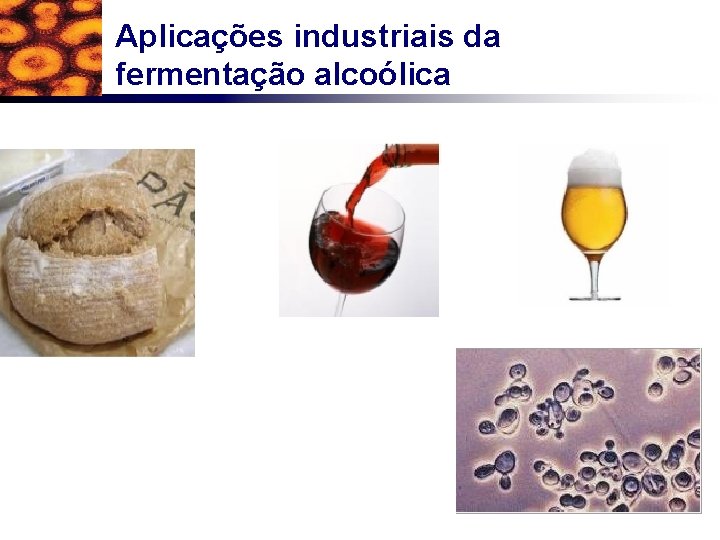 Aplicações industriais da fermentação alcoólica 