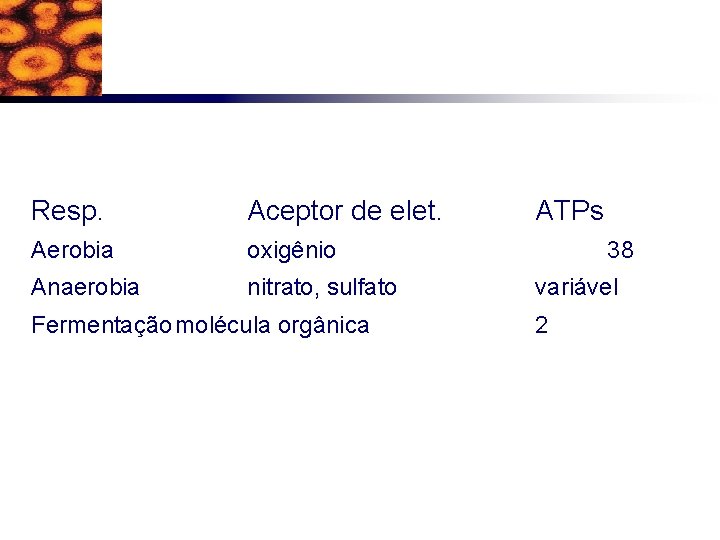 Resp. Aceptor de elet. Aerobia oxigênio Anaerobia nitrato, sulfato Fermentação molécula orgânica ATPs 38
