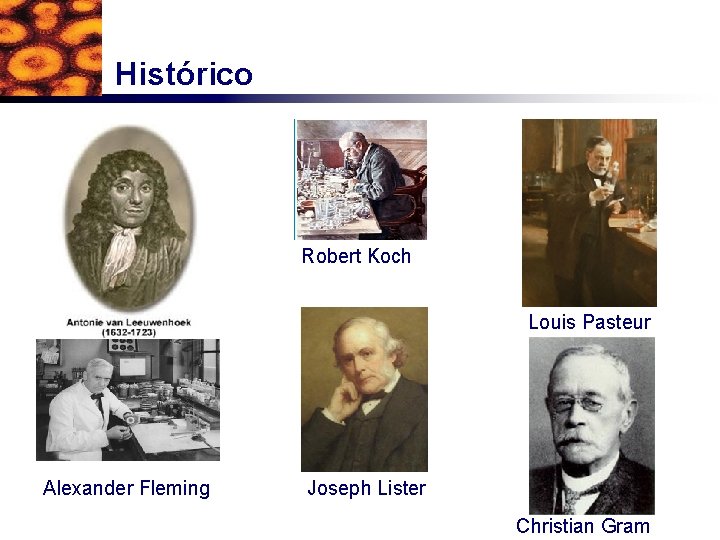 Histórico Robert Koch Louis Pasteur Alexander Fleming Joseph Lister Christian Gram 