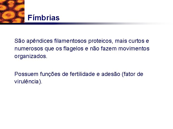 Fímbrias São apêndices filamentosos proteicos, mais curtos e numerosos que os flagelos e não