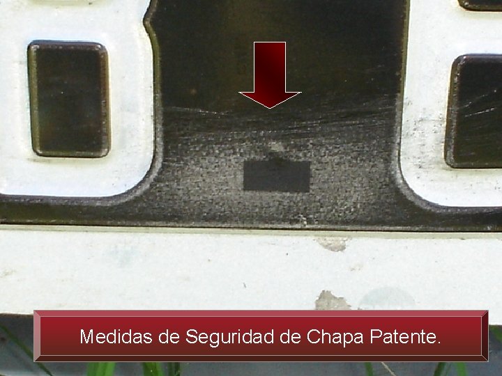 Medidas de Seguridad de Chapa Patente. 