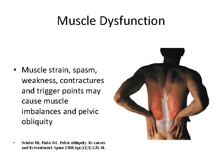 Muscle Dysfunction • Muscle strain, spasm, weakness, contractures and trigger points may cause muscle