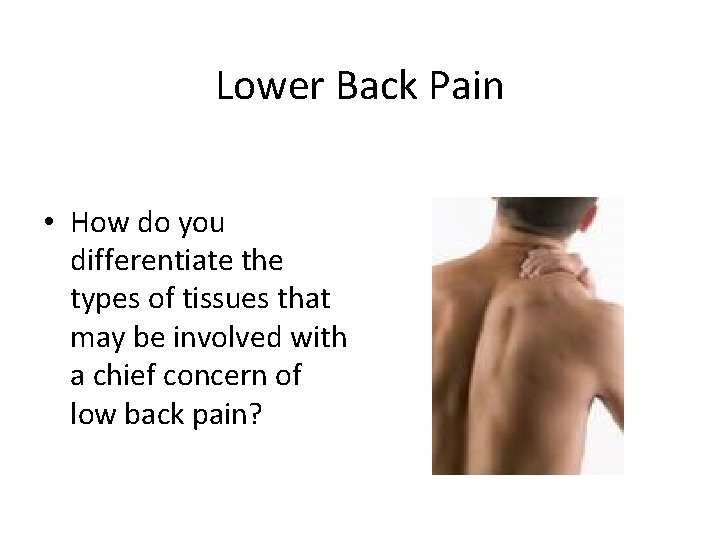 Lower Back Pain • How do you differentiate the types of tissues that may