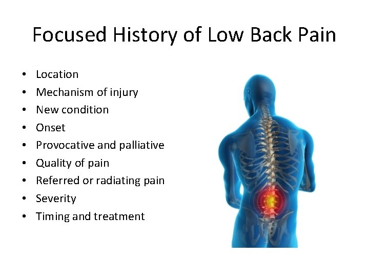 Focused History of Low Back Pain • • • Location Mechanism of injury New