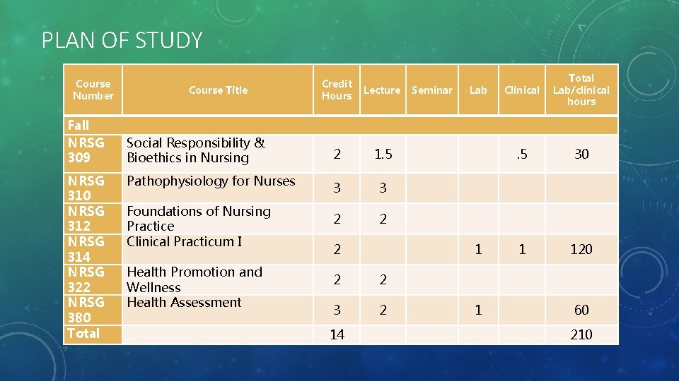PLAN OF STUDY Course Number Fall NRSG 309 NRSG 310 NRSG 312 NRSG 314