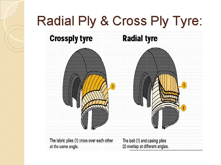 Radial Ply & Cross Ply Tyre: 